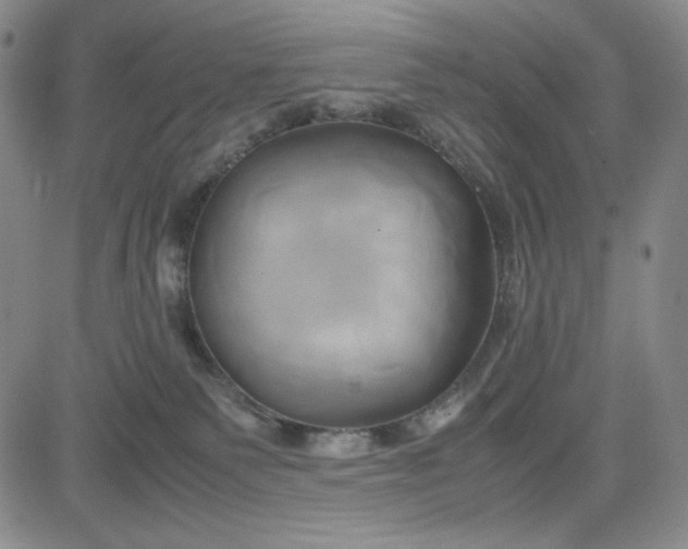 X0000083620135200702261003