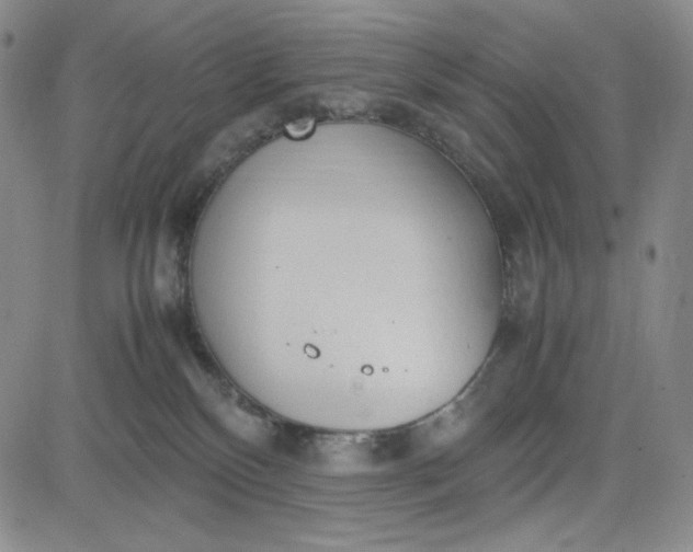 X0000083620136200702261003