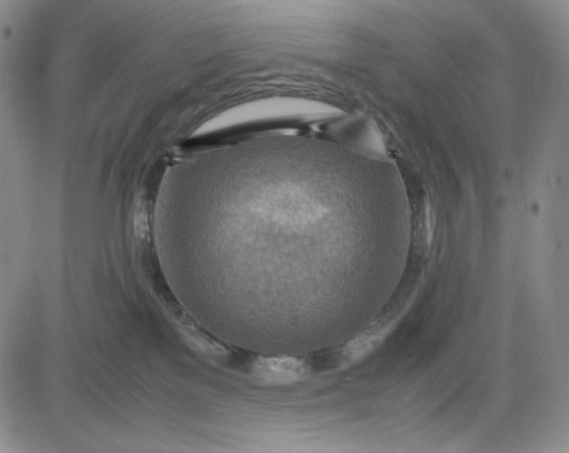 X0000083620137200702261003