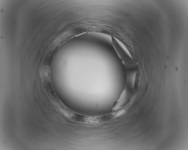 X0000083620141200702261003