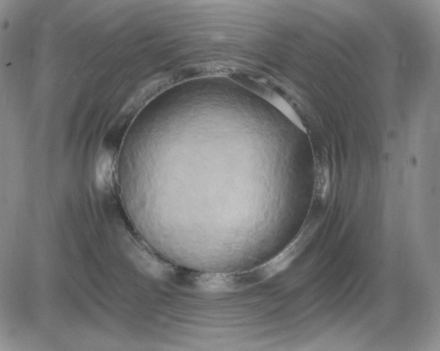 X0000083620142200702261003