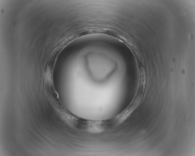 X0000083620143200702261003