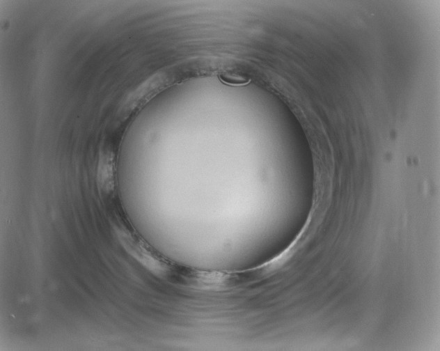 X0000083620144200702261003