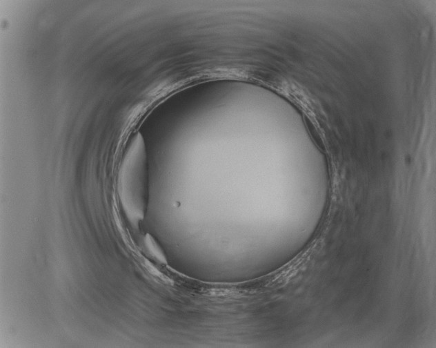 X0000083620145200702261002