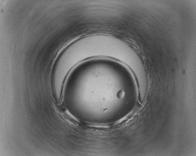 X0000083620146200702261002