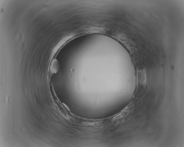 X0000083620147200702261002