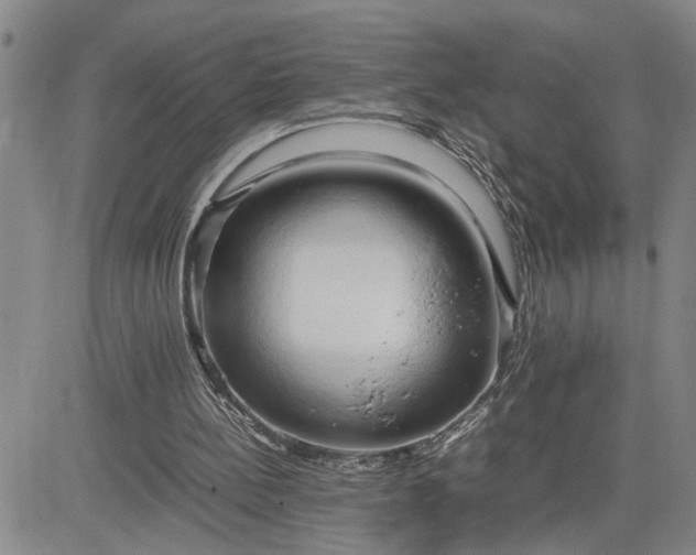 X0000083620148200702261002