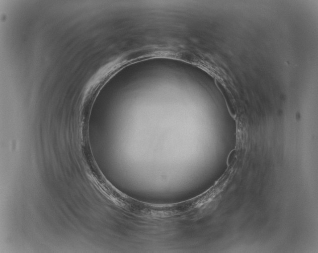 X0000083620149200702261002