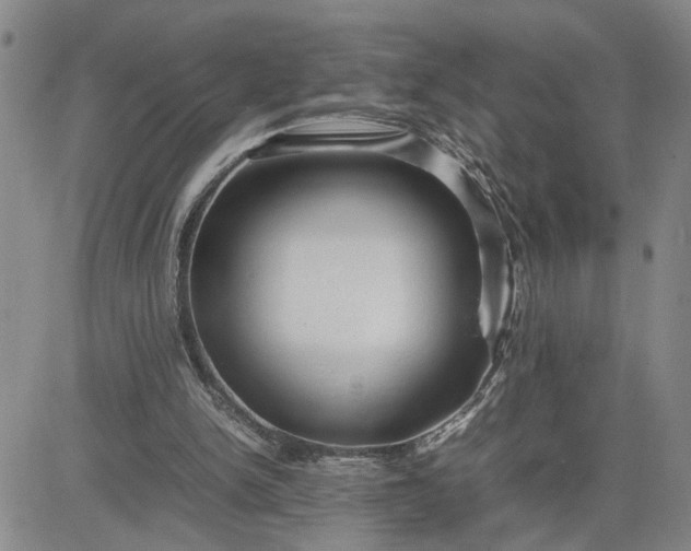 X0000083620150200702261002