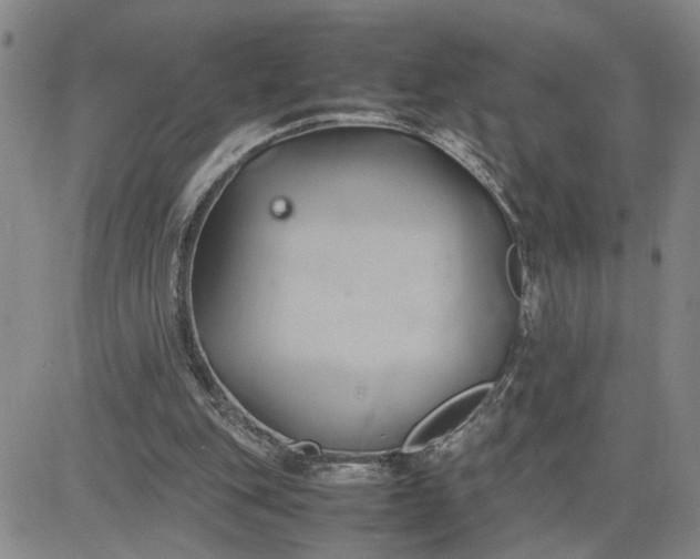 X0000083620151200702261002