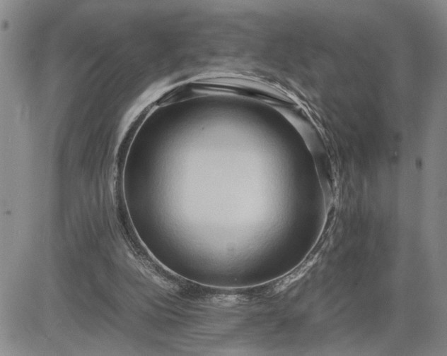 X0000083620152200702261002