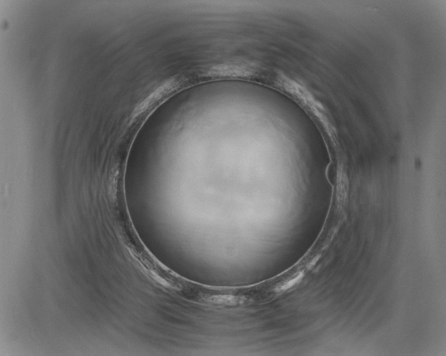 X0000083620153200702261002