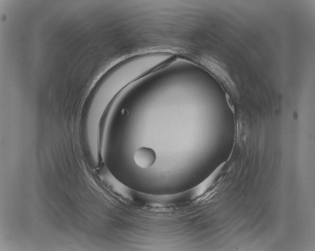 X0000083620156200702261002