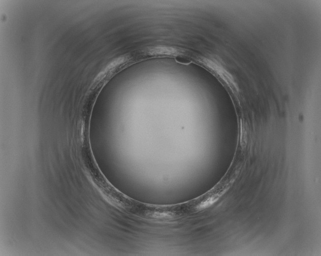 X0000083620157200702261002