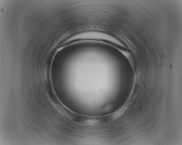 X0000083620158200702261002