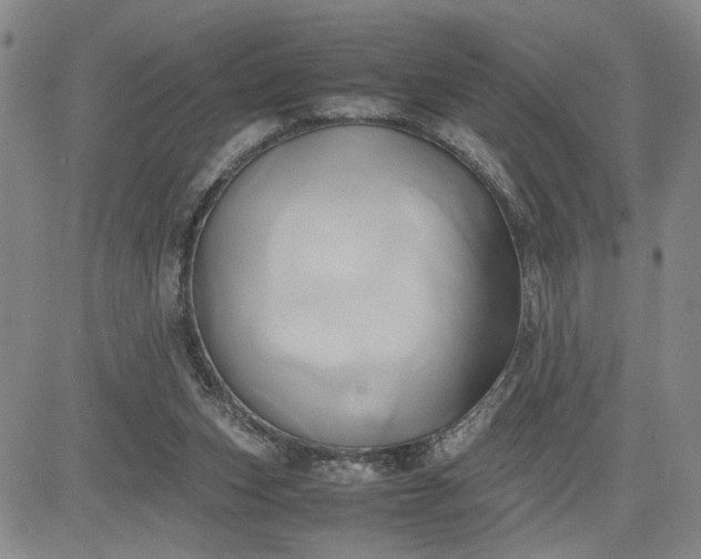 X0000083620159200702261002