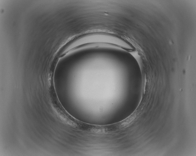 X0000083620160200702261002