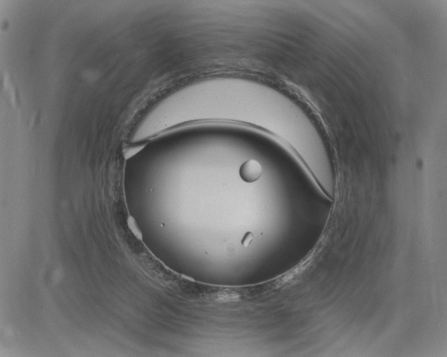 X0000083620162200702261002