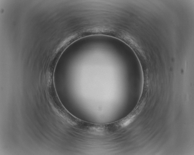 X0000083620164200702261002