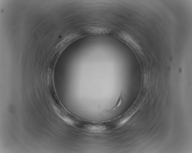 X0000083620165200702261002