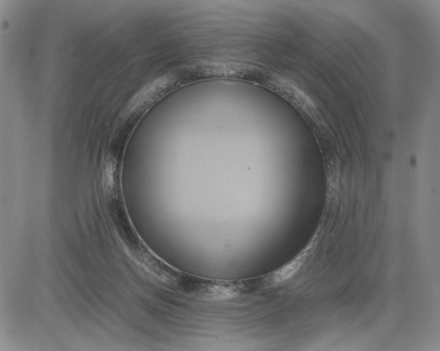 X0000083620166200702261002