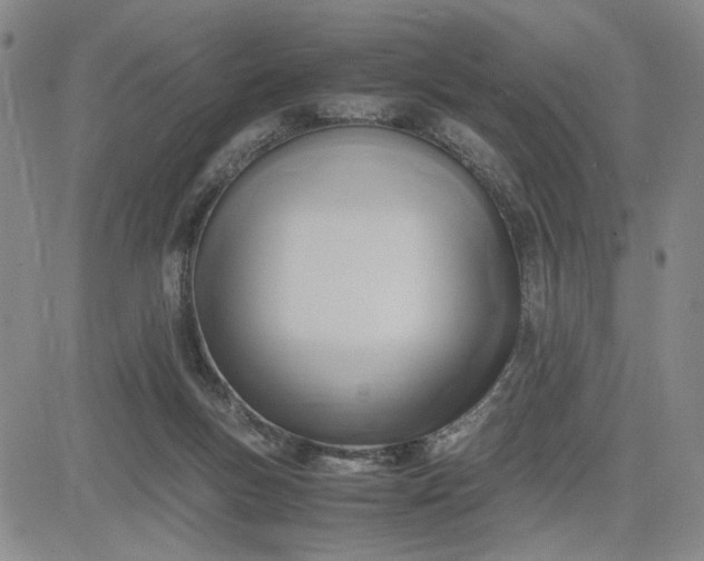 X0000083620167200702261002