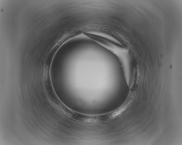 X0000083620168200702261002