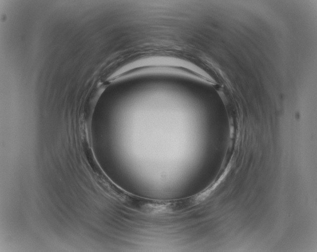 X0000083620170200702261002