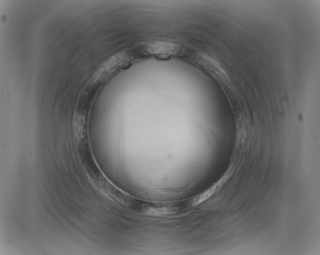 X0000083620171200702261002