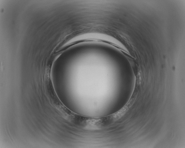 X0000083620172200702261002