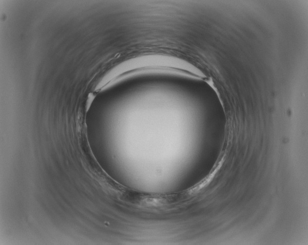 X0000083620174200702261003