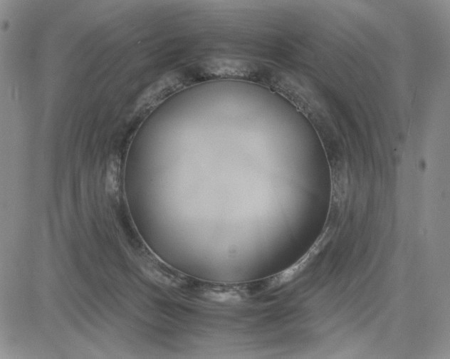 X0000083620175200702261003