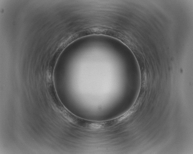 X0000083620176200702261003