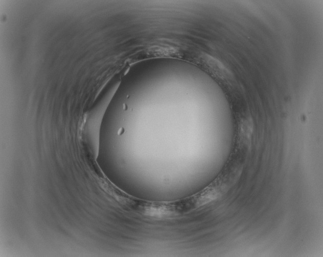 X0000083620177200702261003