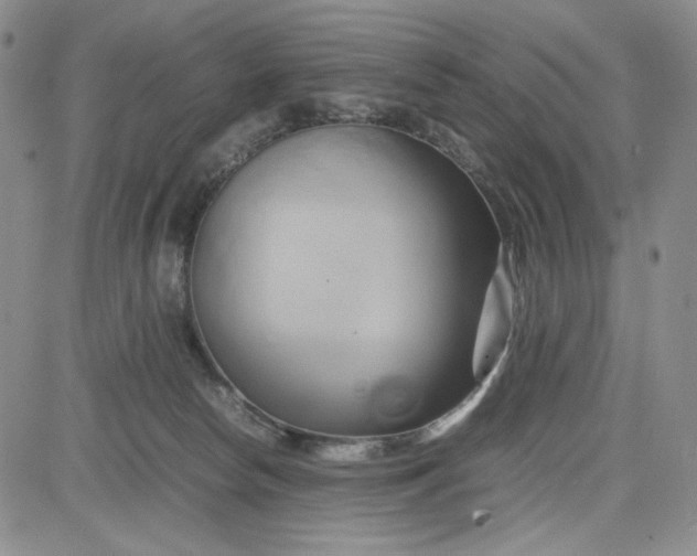 X0000083620178200702261003