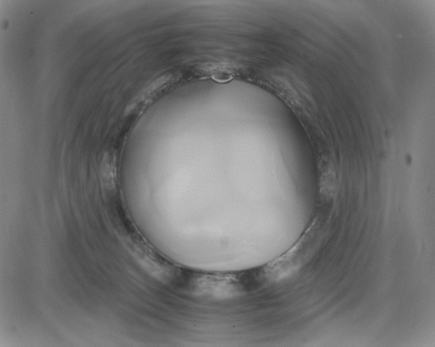 X0000083620179200702261003