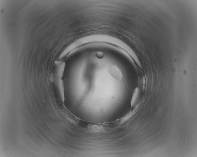 X0000083620180200702261003