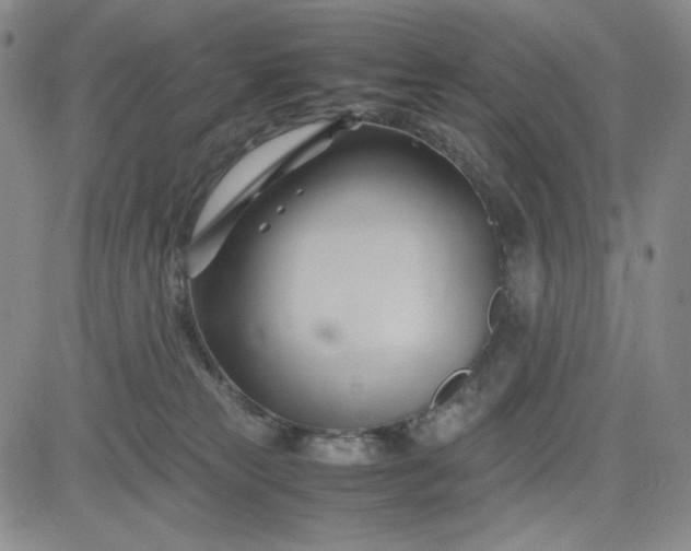 X0000083620181200702261003