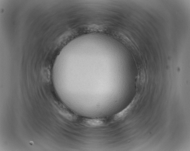 X0000083620183200702261003