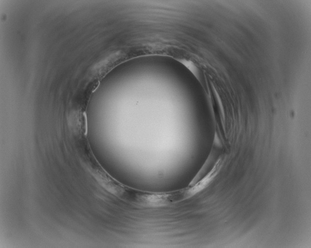 X0000083620184200702261003