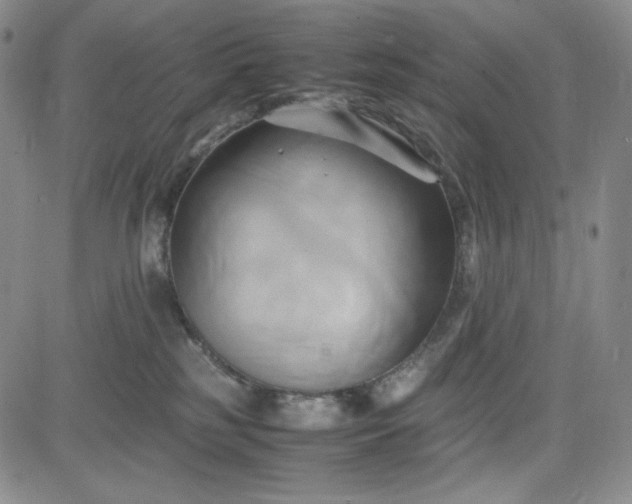 X0000083620185200702261003