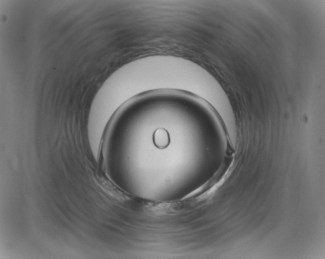 X0000083620186200702261003