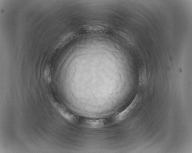 X0000083620187200702261003