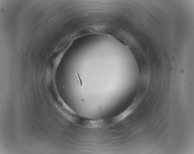 X0000083620188200702261003