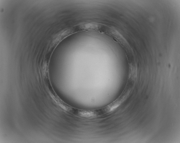 X0000083620189200702261003