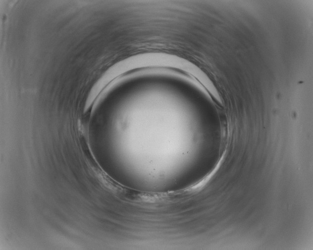 X0000083620190200702261003