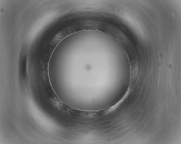 X0000083620191200702261003