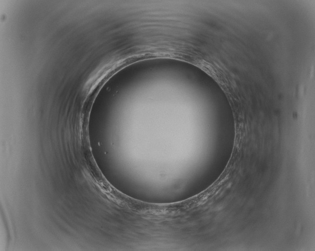 X0000083620194200702261002