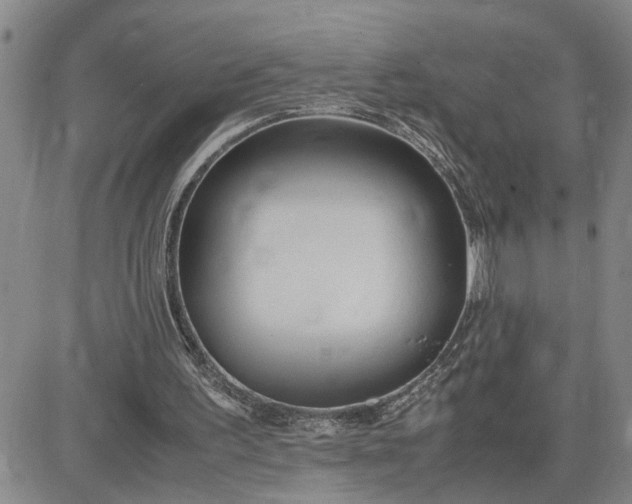 X0000083620195200702261002