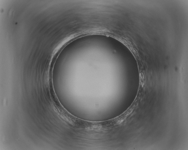 X0000083620196200702261002